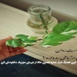 دانلود آهنگ من اولین باری رو که دیدم تورو یادم نمیره از سهراب پاکزاد